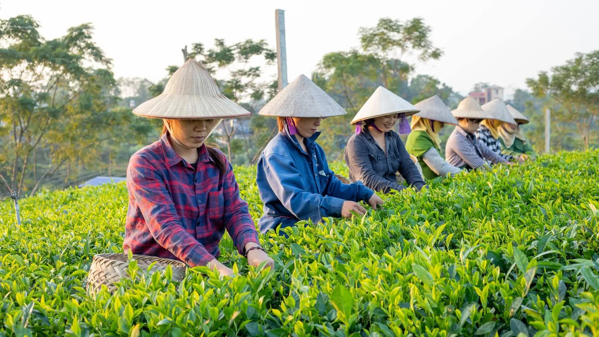 Đầu tư cho con người để kinh tế tập thể phát triển bền vững Đầu tư cho con người để kinh tế tập thể phát triển bền vững