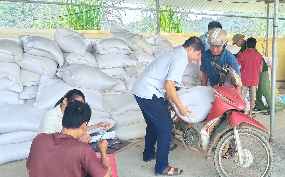 Hoàn thành vận chuyển, bàn giao gạo hỗ trợ thiếu đói, giáp hạt cho Nhân dân tỉnh Cao Bằng Hoàn thành vận chuyển, bàn giao gạo hỗ trợ thiếu đói, giáp hạt cho Nhân dân tỉnh Cao Bằng