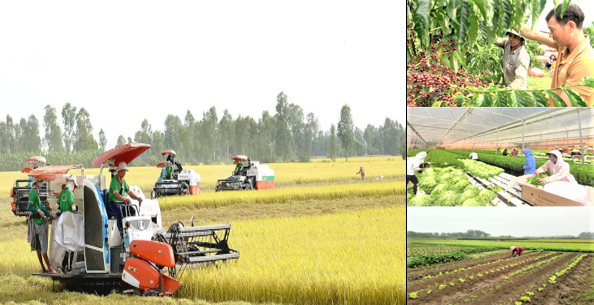 Điểm sáng xuất siêu nông sản nhờ chuyển dịch chất lượng Điểm sáng xuất siêu nông sản nhờ chuyển dịch chất lượng