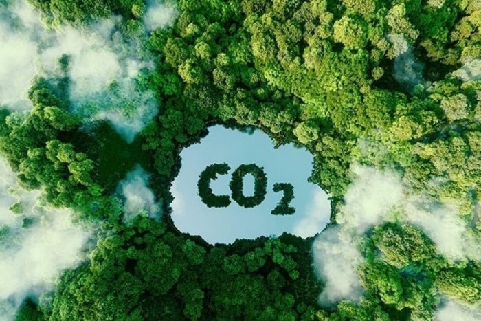 Phát triển thị trường carbon tại Việt Nam