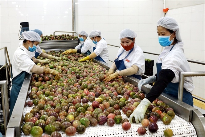 Phát triển chuỗi giá trị nông sản Việt Nam: Chìa khóa nâng cao năng lực cạnh tranh Phát triển chuỗi giá trị nông sản Việt Nam: Chìa khóa nâng cao năng lực cạnh tranh