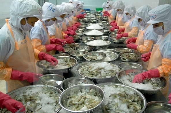 Xuất khẩu thủy sản tăng gần 13%, tạo đà hướng tới mục tiêu tăng trưởng hai con số