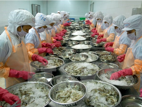 Xuất khẩu thủy sản tăng gần 13%, tạo đà hướng tới mục tiêu tăng trưởng hai con số Xuất khẩu thủy sản tăng gần 13%, tạo đà hướng tới mục tiêu tăng trưởng hai con số