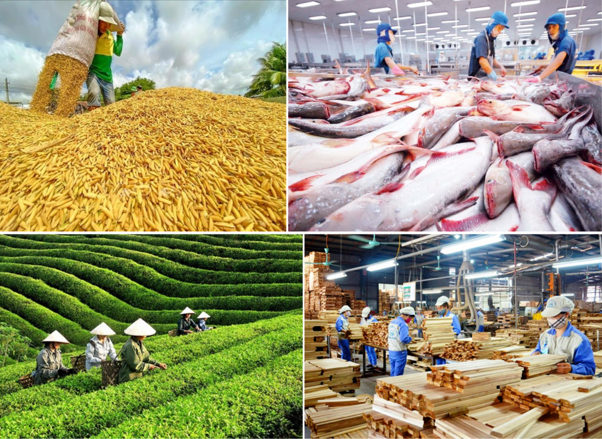 Xuất khẩu nông, lâm, thủy sản sáu tháng đầu năm 2026 tiếp tục duy trì đà tăng trưởng. 