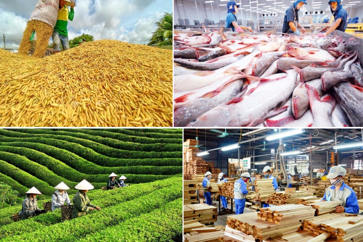 Xuất khẩu nông, lâm, thủy sản giữ đà tăng giữa biến động thị trường
