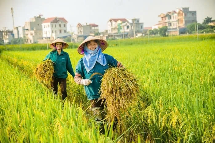 Nông nghiệp tăng trưởng tích cực, củng cố mục tiêu phát triển xanh