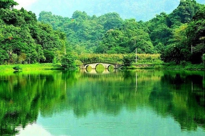Yêu cầu đối với các bên trong cung ứng và sử dụng dịch vụ hấp thụ và lưu giữ các-bon rừng Yêu cầu đối với các bên trong cung ứng và sử dụng dịch vụ hấp thụ và lưu giữ các-bon rừng