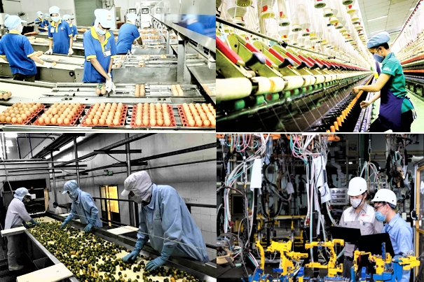 Quy mô doanh nghiệp mở rộng, tiếp tục là động lực tăng trưởng của nền kinh tế