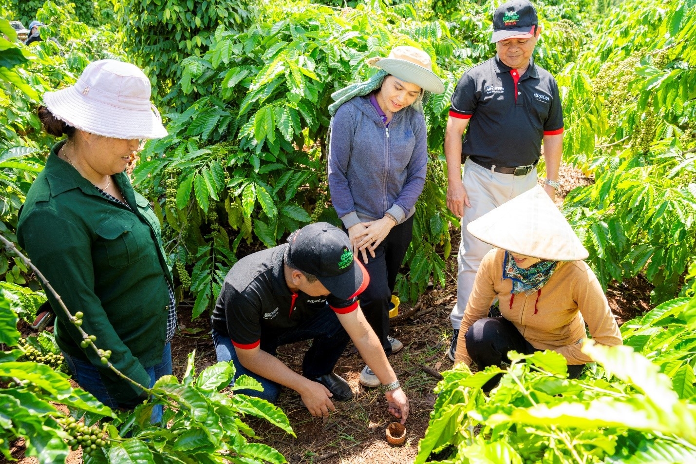 Bộ Tài chính đẩy mạnh hoàn thiện và thực thi 5 nhóm chính sách phát triển tài chính xanh và thị trường carbon Bộ Tài chính đẩy mạnh hoàn thiện và thực thi 5 nhóm chính sách phát triển tài chính xanh và thị trường carbon