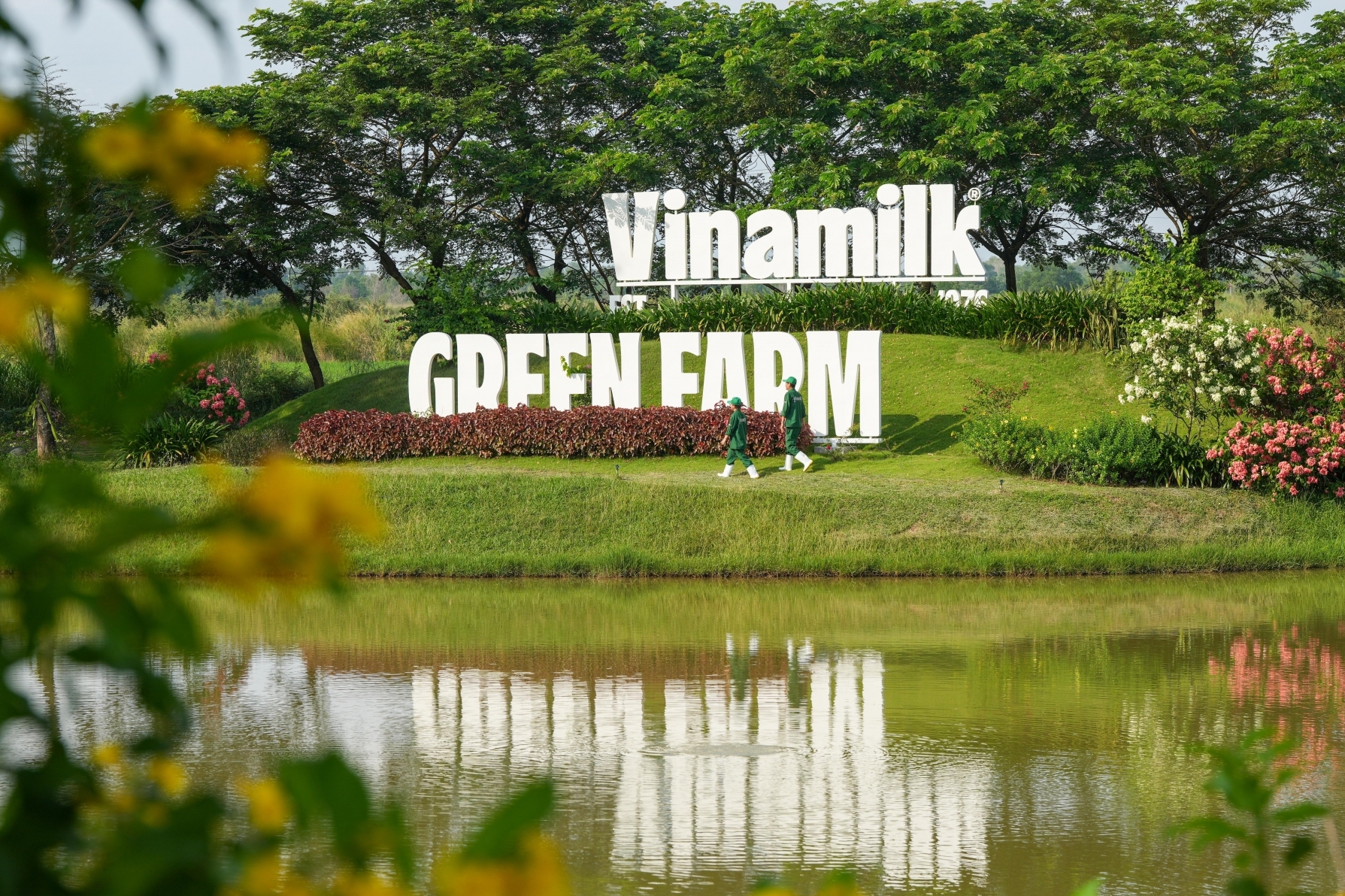 Vinamilk mang về hơn 106.000 tỷ đồng giá trị lợi ích kinh tế cho SCIC