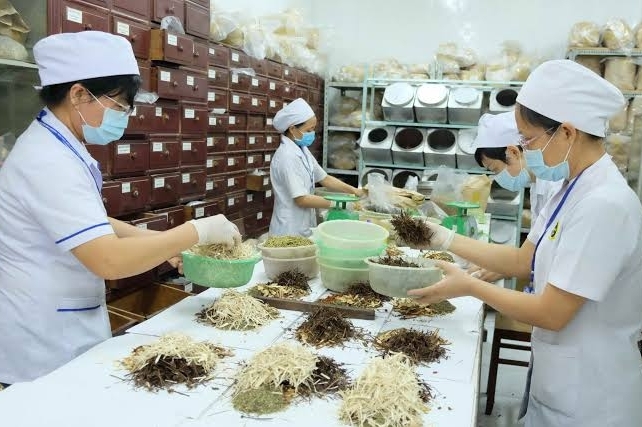 Rà soát, hoàn thiện hệ thống pháp luật liên quan đến khám chữa bệnh, thuốc cổ truyền, dược liệu, bảo hiểm y tế