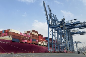 Cước vận tải container tăng mạnh, doanh nghiệp thủy sản cần chủ động kế hoạch xuất khẩu