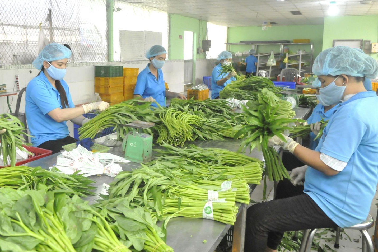 Thuế giá trị gia tăng đối với mặt hàng nông, lâm, thuỷ sản chưa qua chế biến