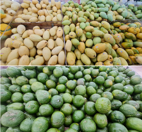 Xuất khẩu nông, lâm, thủy sản