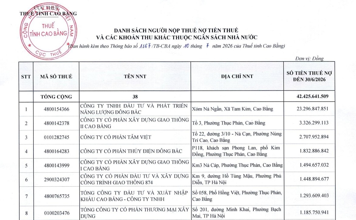 Một phần danh sách nợ thuế do Thuế tỉnh Cao Bằng công bố. 