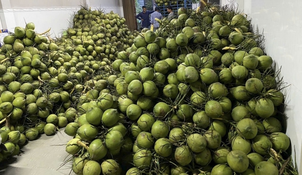 Khẳng định thương hiệu cho nông sản Vĩnh Long Khẳng định thương hiệu cho nông sản Vĩnh Long
