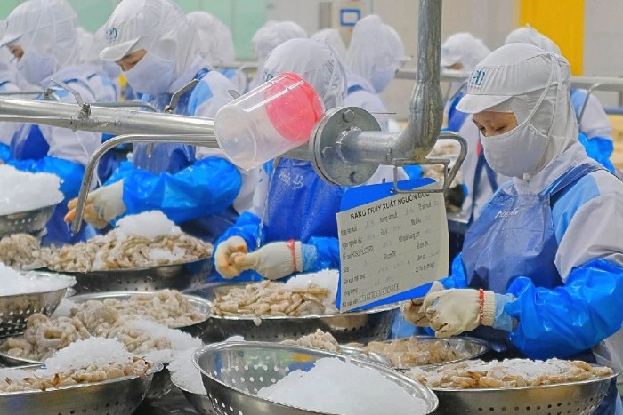 Thuế xuất khẩu 0%: Vì sao doanh nghiệp được hoàn thuế giá trị gia tăng, hộ kinh doanh thì không?