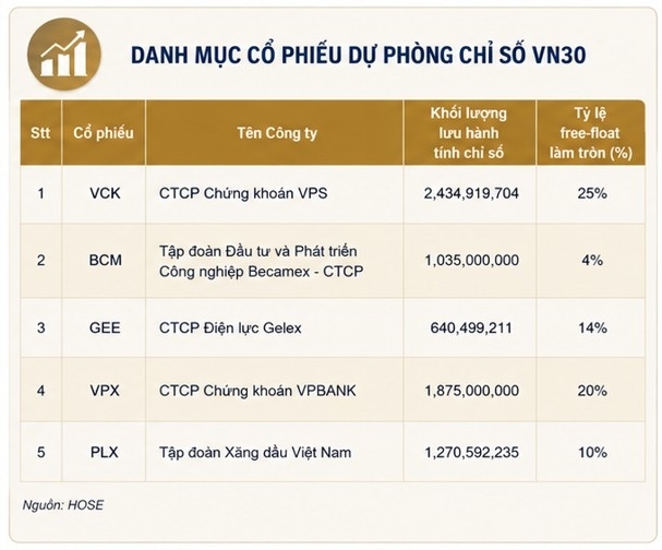 HoSE công bố danh mục VN30 kỳ tháng 7/2026, bổ sung MCH và TCX