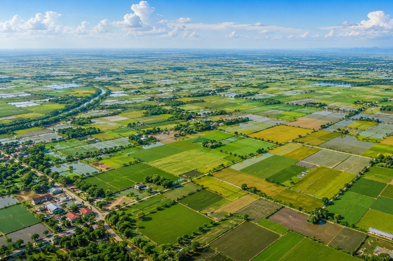 Bộ Tài chính làm rõ thẩm quyền ban hành mẫu thông báo thu tiền đất trồng lúa