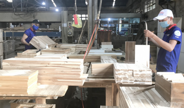 Xuất khẩu gỗ giữ vững vị thế dẫn đầu ASEAN nhờ đa dạng hóa thị trường Xuất khẩu gỗ giữ vững vị thế dẫn đầu ASEAN nhờ đa dạng hóa thị trường