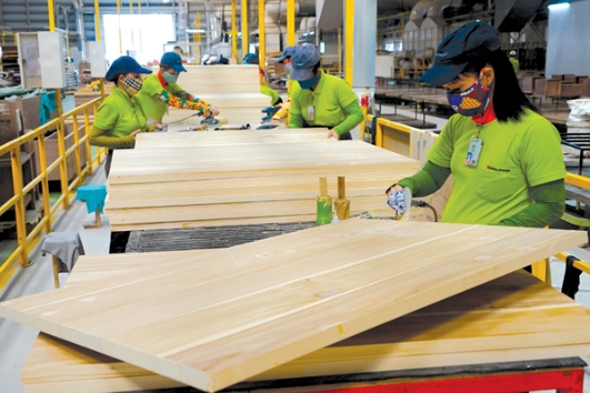 Xuất khẩu gỗ giữ vững vị thế dẫn đầu ASEAN nhờ đa dạng hóa thị trường