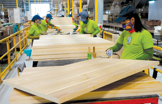 Xuất khẩu gỗ giữ vững vị thế dẫn đầu ASEAN nhờ đa dạng hóa thị trường Xuất khẩu gỗ giữ vững vị thế dẫn đầu ASEAN nhờ đa dạng hóa thị trường