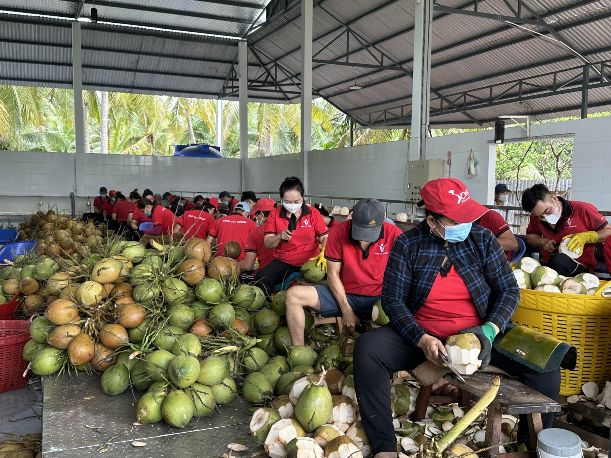 Khơi thông dòng vốn để doanh nghiệp nông sản tăng sức bật xuất khẩu