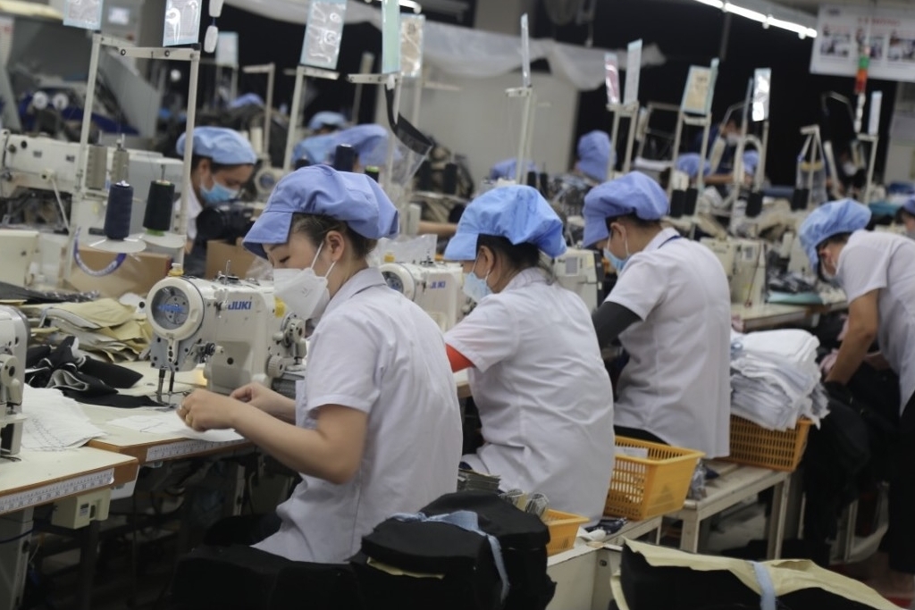 TP. Đà Nẵng: Bình quân mỗi ngày có hơn 1.000 lượt người được hưởng chế độ ốm đau, thai sản