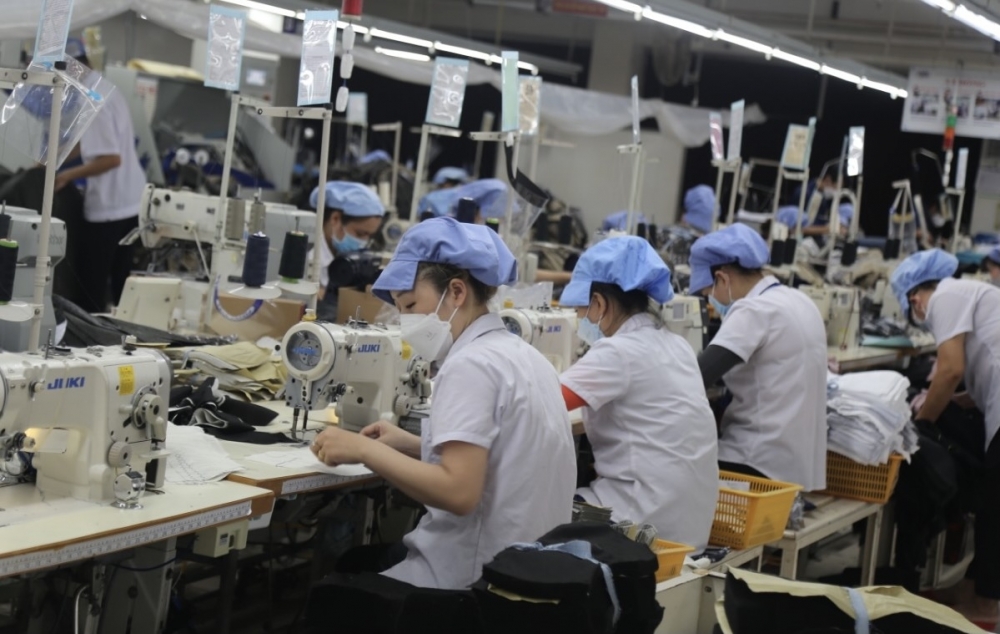 TP. Đà Nẵng: Bình quân mỗi ngày có hơn 1.000 lượt người được hưởng chế độ ốm đau, thai sản