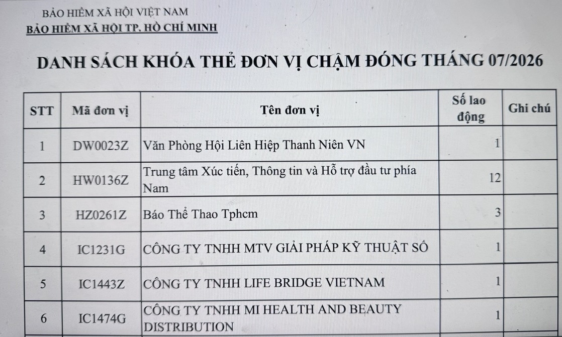 TP. Hồ Chí Minh công khai danh sách doanh nghiệp nợ bảo hiểm xã hội, người lao động bị khóa thẻ bảo hiểm y tế