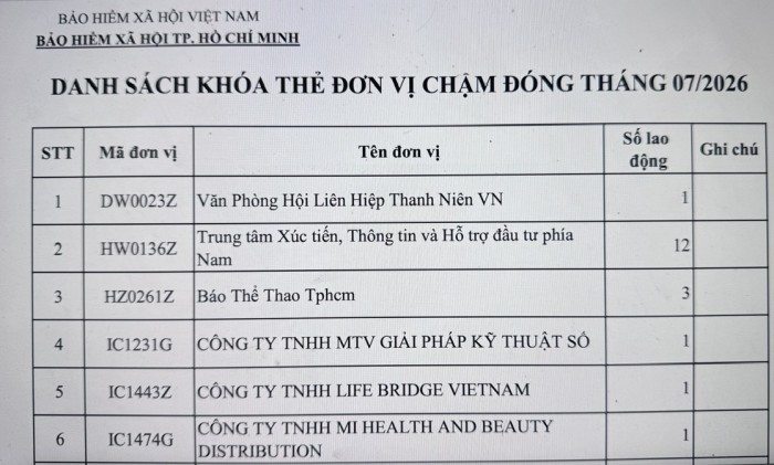 TP. Hồ Chí Minh công khai danh sách doanh nghiệp nợ bảo hiểm xã hội, người lao động bị khóa thẻ bảo hiểm y tế