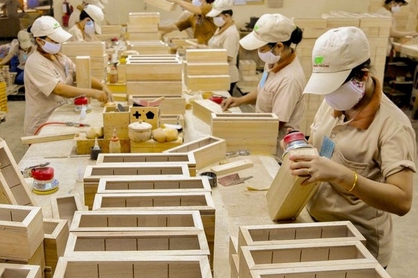 Phát triển nguồn nguyên liệu bền vững để nâng tầm giá trị xuất khẩu gỗ