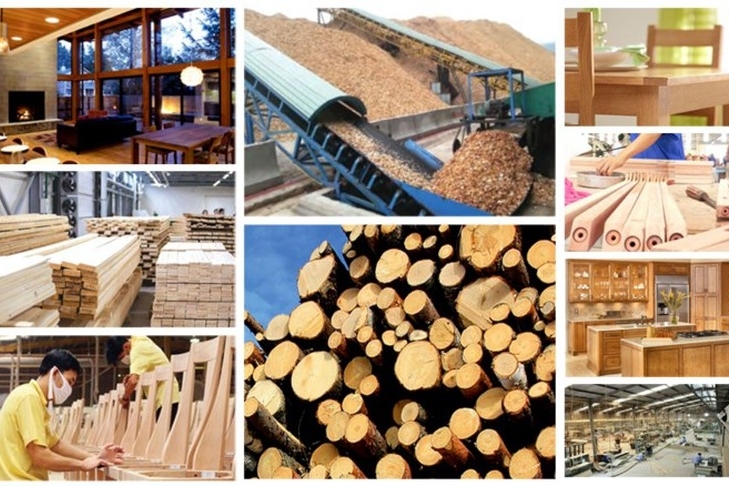Kiến tạo nguồn nguyên liệu bền vững cho xuất khẩu gỗ