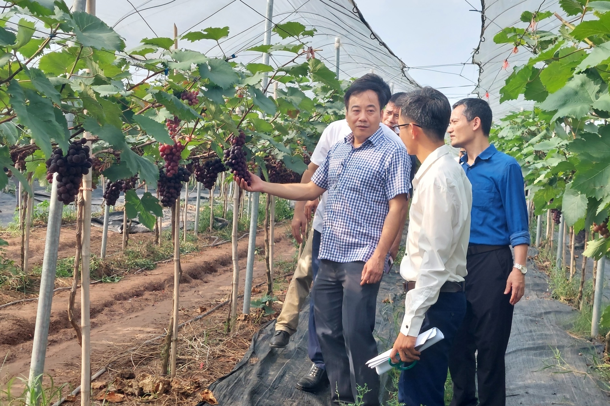 Bộ Tài chính sửa đổi 2 thủ tục hành chính về tổ hợp tác không đăng ký