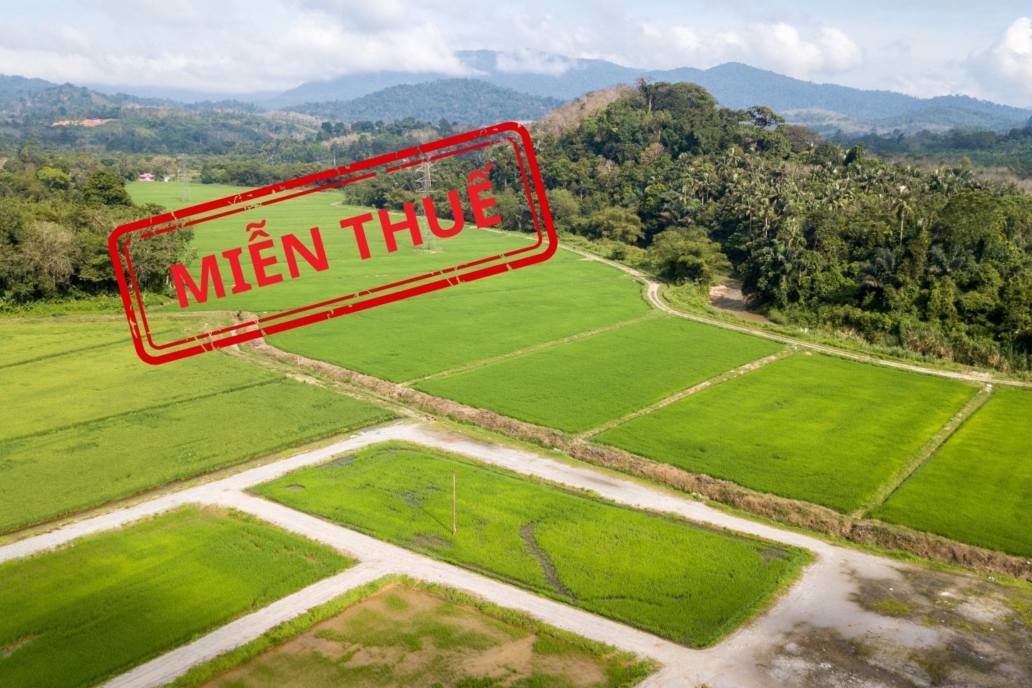 INFOGRAPHIC: Hồ sơ miễn thuế sử dụng đất nông nghiệp