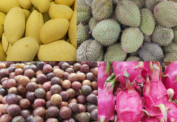 Bản đồ số vùng nguyên liệu nâng sức cạnh tranh nông sản Việt Bản đồ số vùng nguyên liệu nâng sức cạnh tranh nông sản Việt