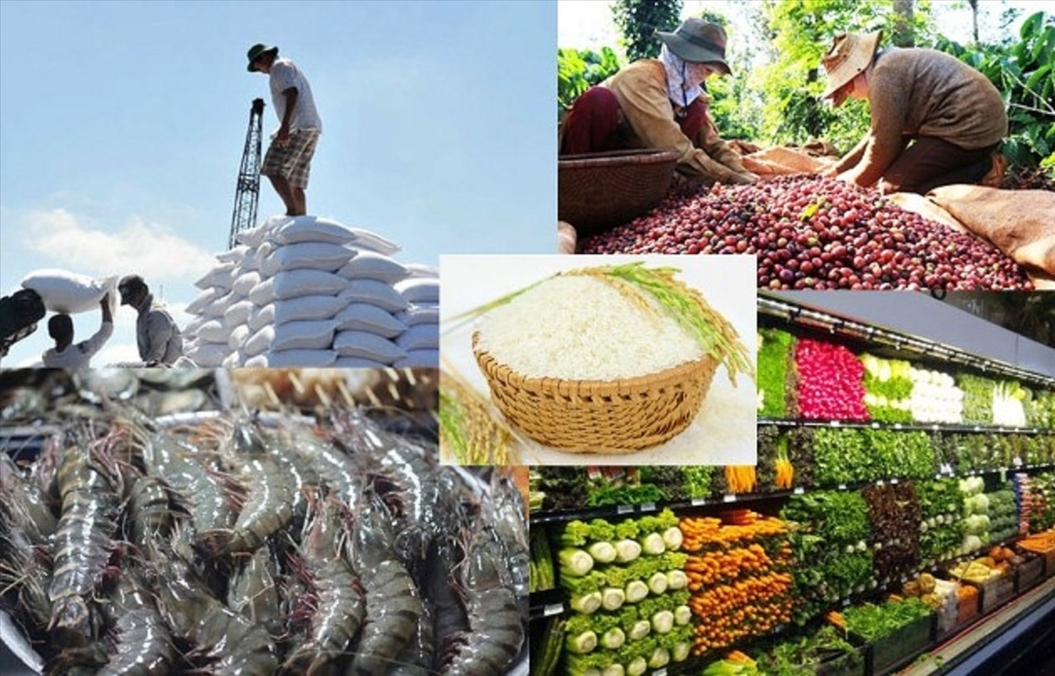 Xuất khẩu nông, lâm, thủy sản của Việt Nam 