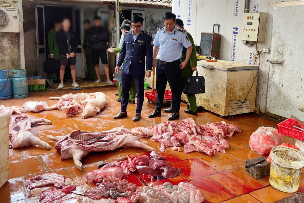 Hưng Yên: Chuyển Công an tiếp tục điều tra vụ thịt lợn nhiễm dịch tả lợn châu Phi