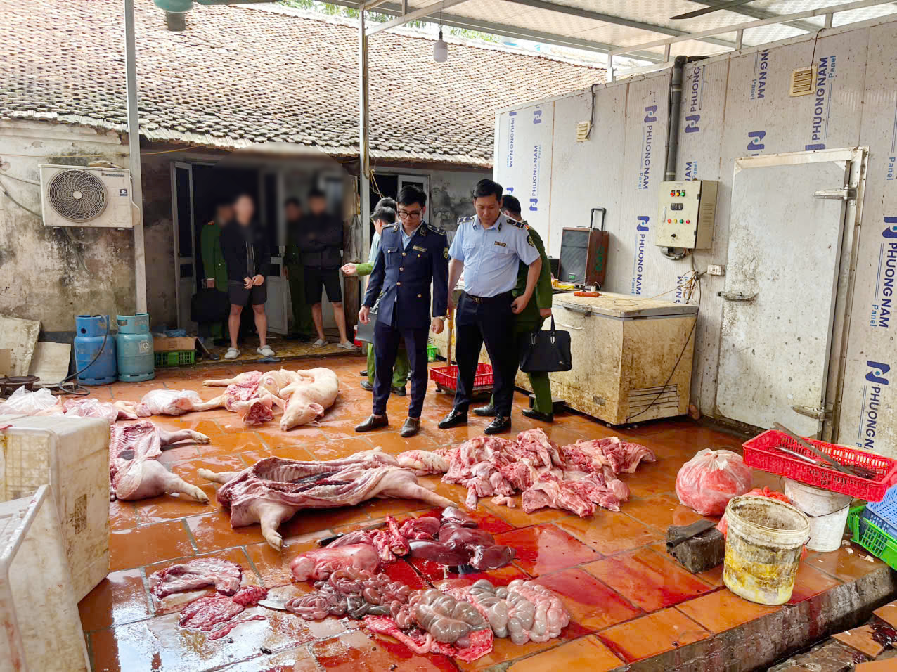 Hưng Yên: Chuyển Công an tiếp tục điều tra vụ thịt lợn nhiễm dịch tả lợn châu Phi