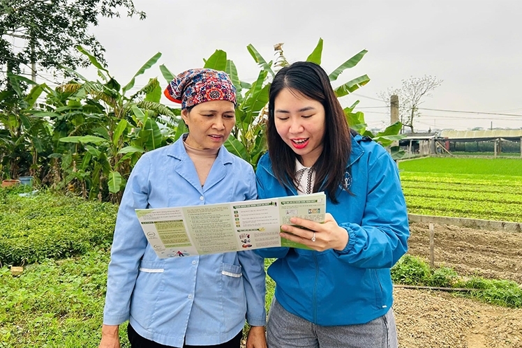 Thanh Hóa: Chú trọng phát triển bảo hiểm xã hội trong các hợp tác xã