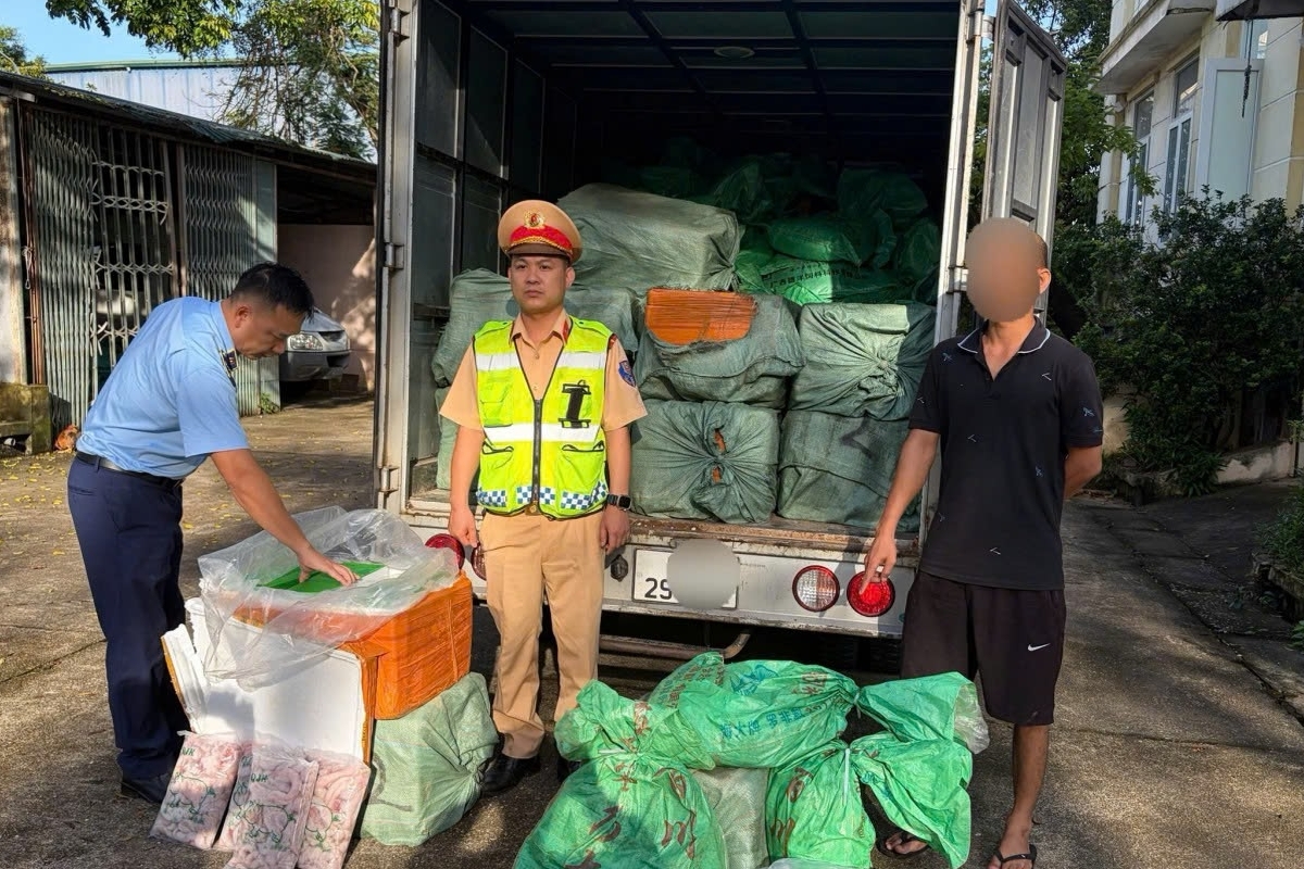 Chặn xe tải chở 1,9 tấn thực phẩm đông lạnh không rõ nguồn gốc