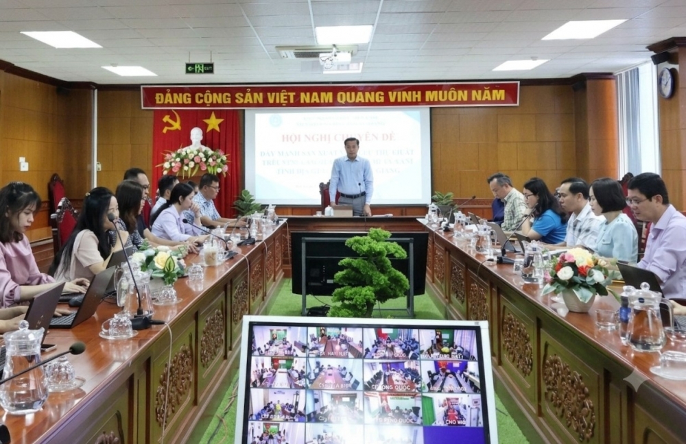 Bảo hiểm