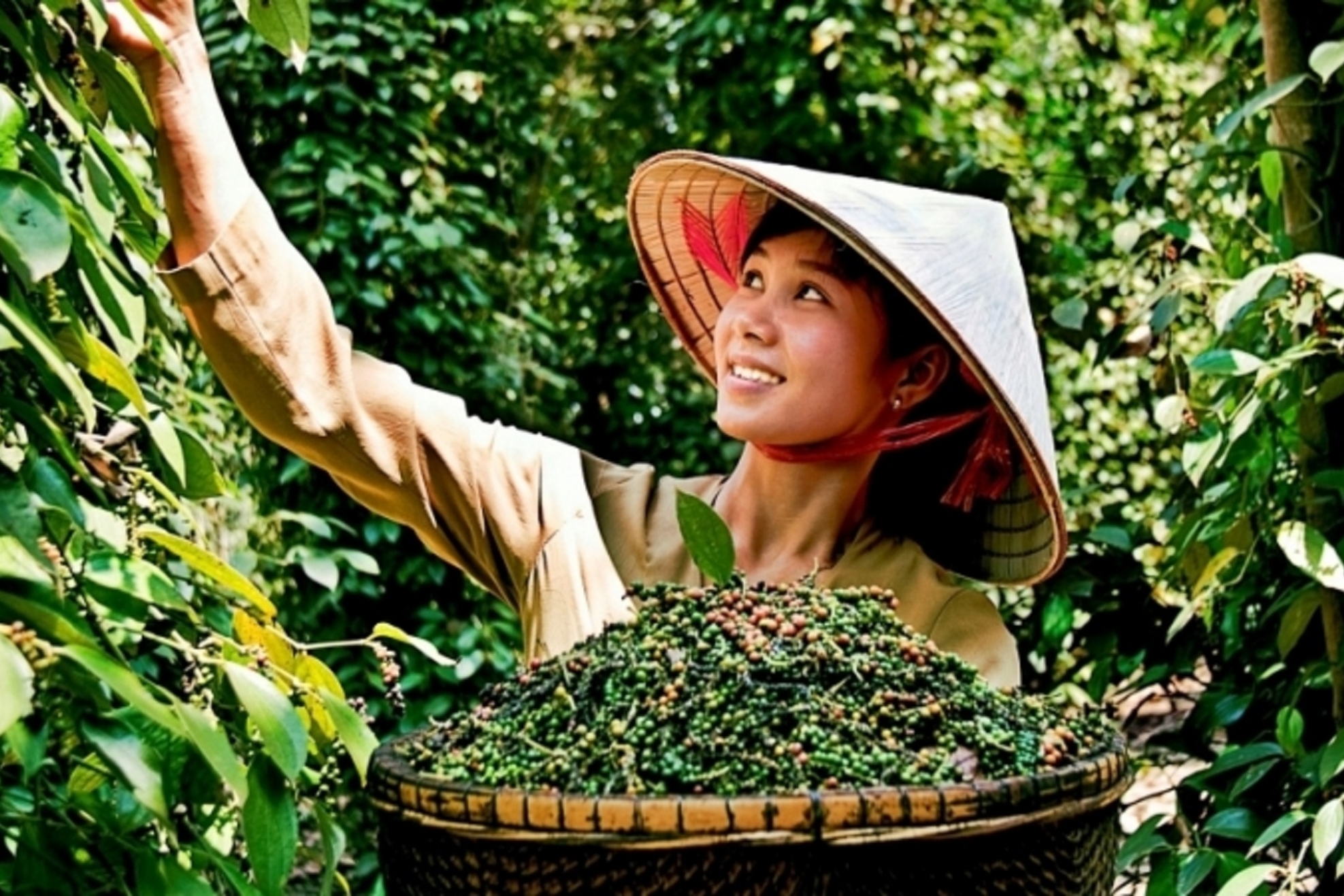Xuất khẩu hồ tiêu giữ vững đà tăng trưởng