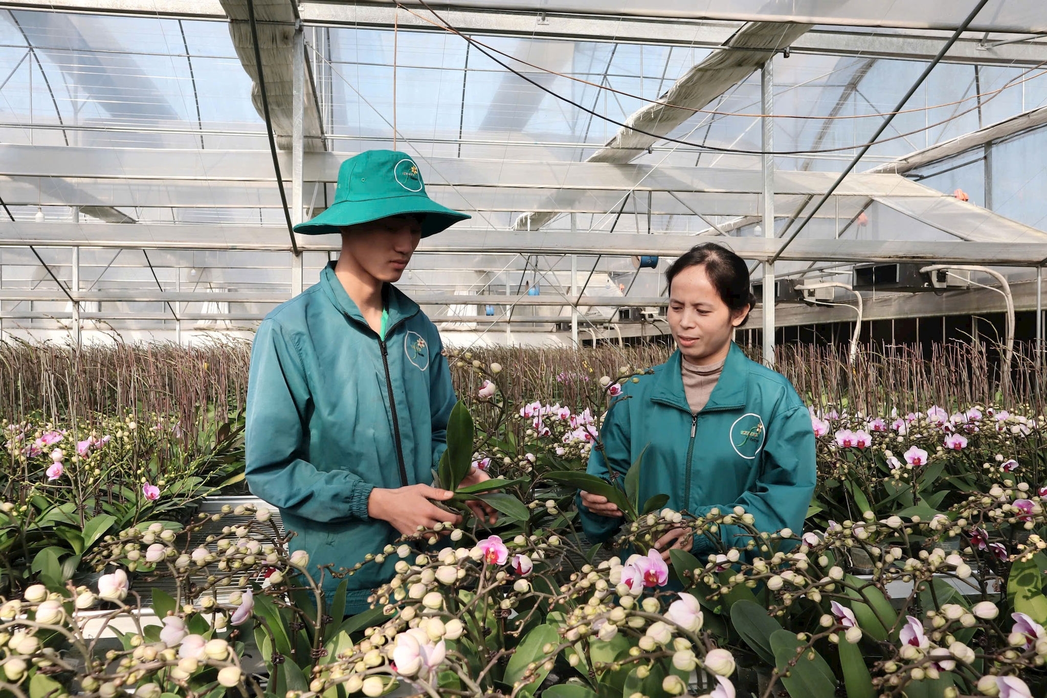 Tạo hệ sinh thái để kinh tế tập thể vươn lên thành động lực tăng trưởng