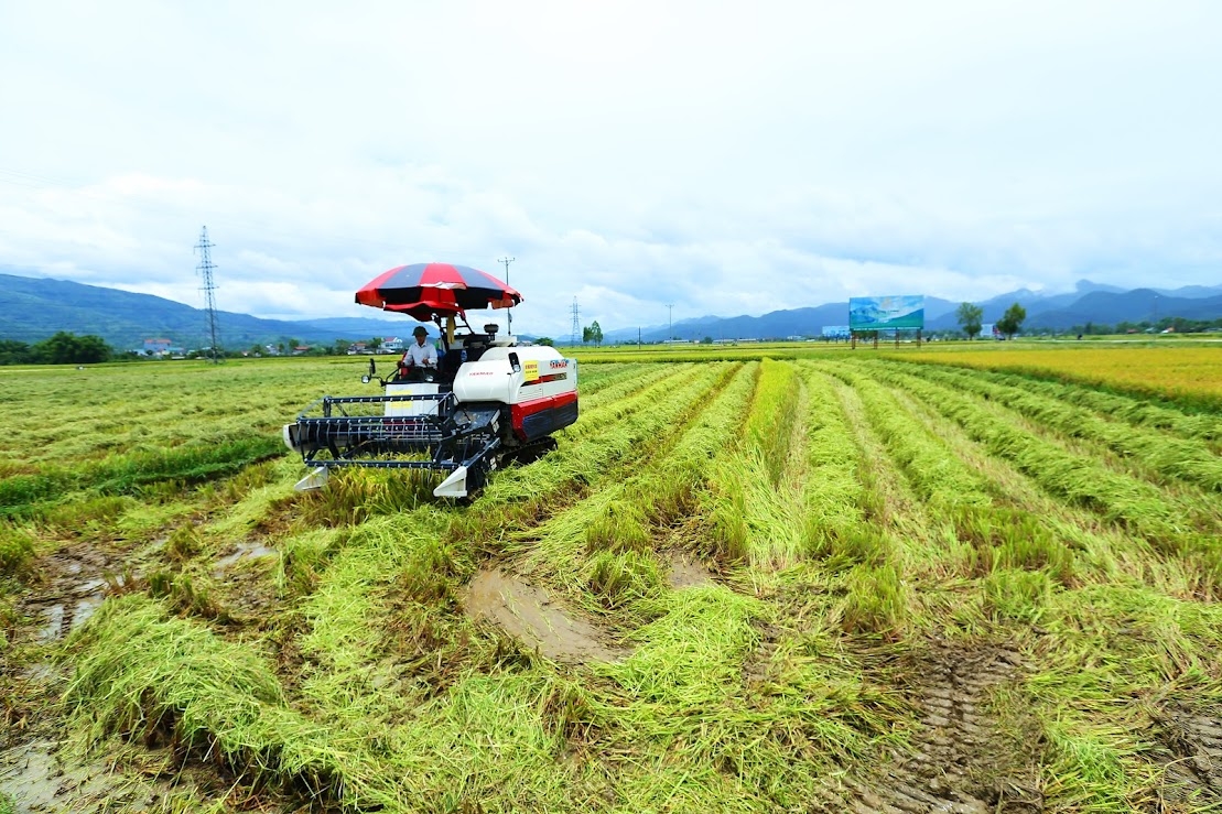 Giải ngân chương trình mục tiêu quốc gia: Tăng tốc đưa nguồn lực vào thực tiễn Giải ngân chương trình mục tiêu quốc gia