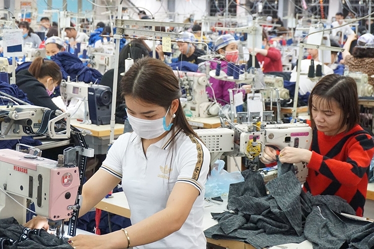 Công ty nợ bảo hiểm xã hội, người lao động cần làm gì để hưởng trợ cấp thai sản?