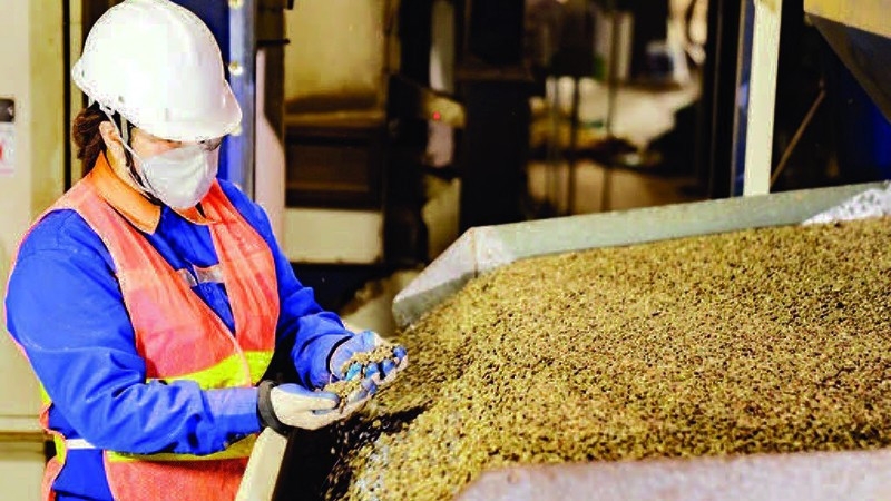 EUDR mở ra động lực mới để cà phê Việt Nam tổ chức lại chuỗi cung ứng EUDR mở ra động lực mới để cà phê Việt Nam tổ chức lại chuỗi cung ứng