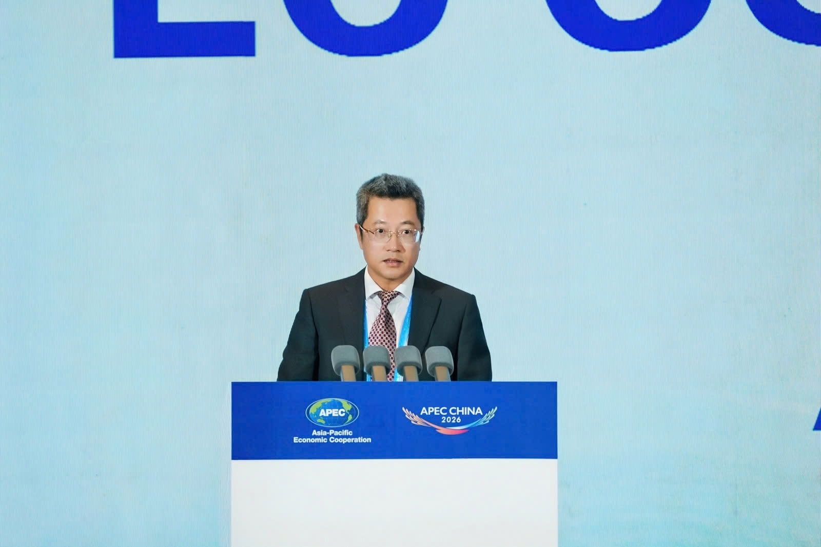 Hải quan Việt Nam tham dự Phiên Đối thoại Hải quan - Doanh nghiệp APEC 2026