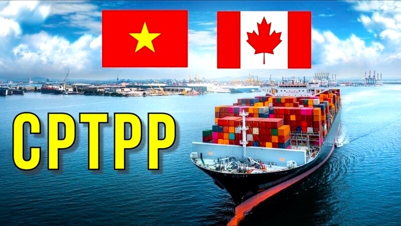 Thương mại giữa Việt Nam - Canada có xu hướng tăng trưởng tốt nhờ tận dụng Hiệp định CPTPP và khai thác hiệu quả lợi thế giữa hai nước. Ảnh: TL. 
