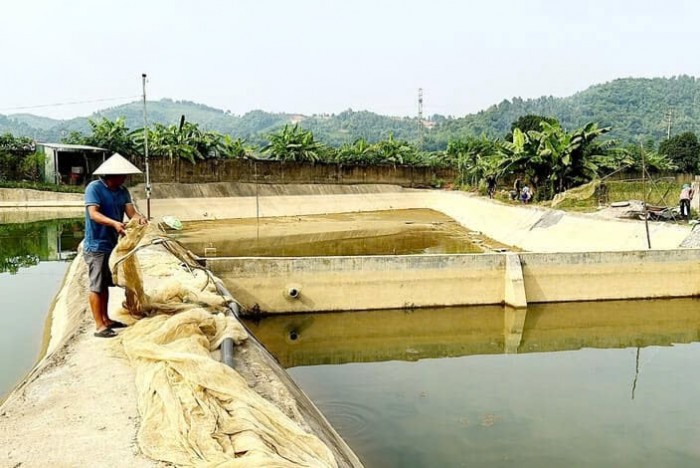 Thủy sản Việt Nam chuyển từ cạnh tranh sản lượng sang nâng giá trị và phát triển bền vững